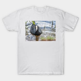 Hawaiian coot 2 T-Shirt